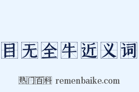 目无全牛近义词是什么意思的图片
